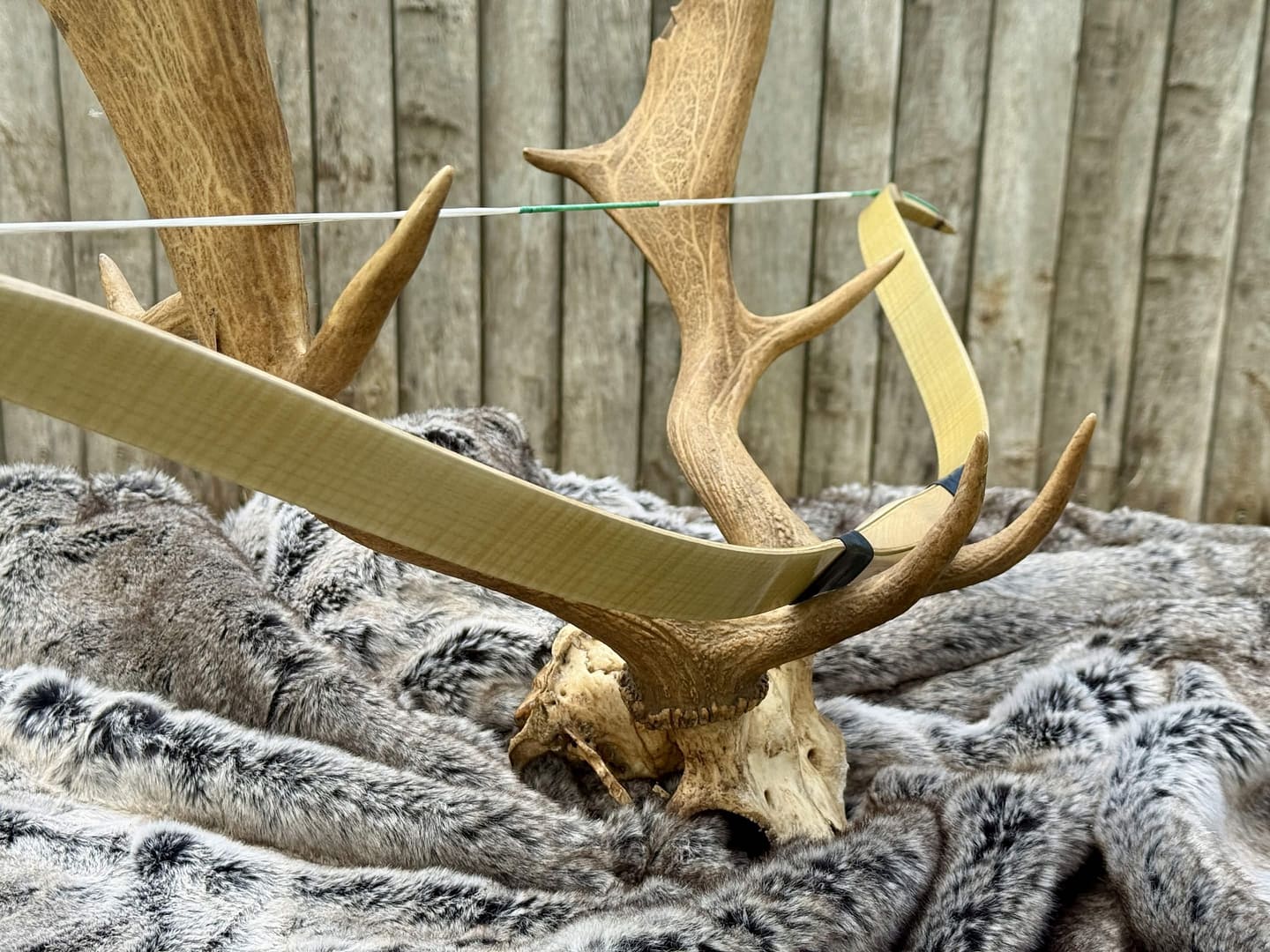 Vav laminated Turkish puta bow by OKCUBABA in beige, view 4