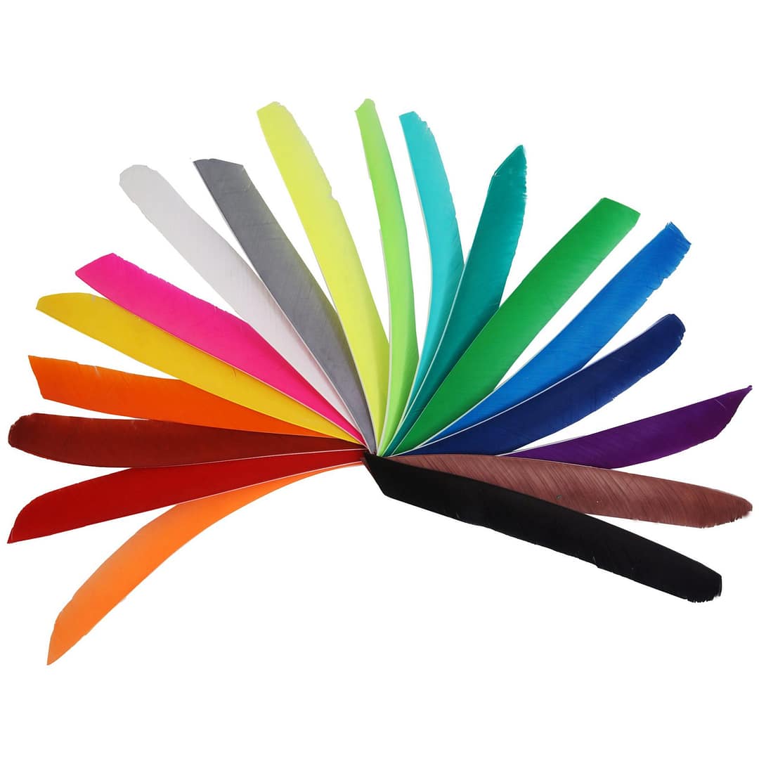 Pack of 50 full length arrow feathers for traditional archery