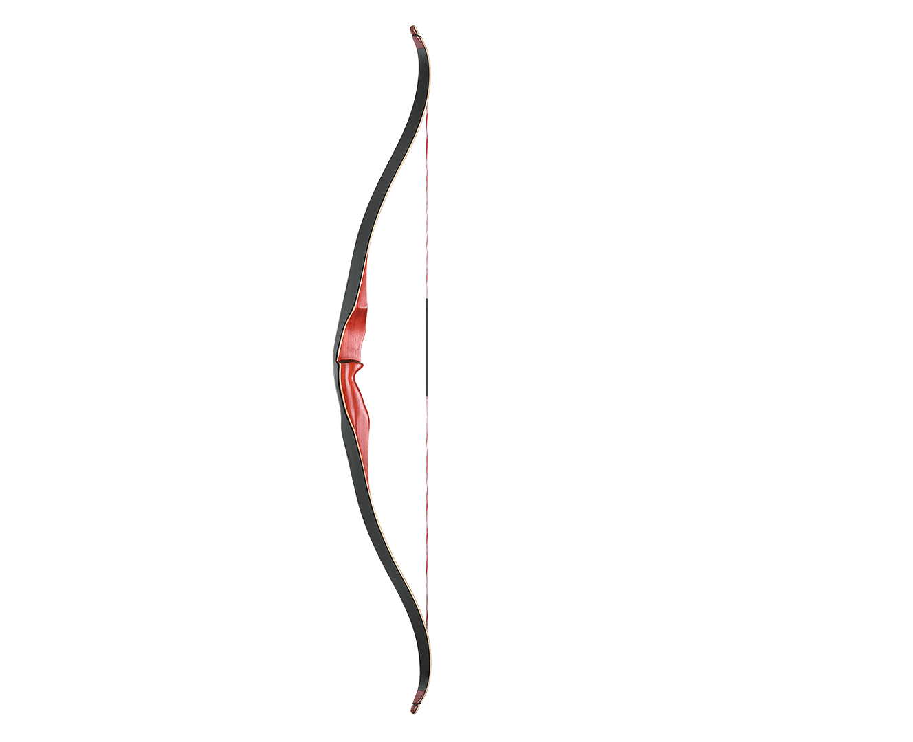 Black Bear by Ragim - Image 3