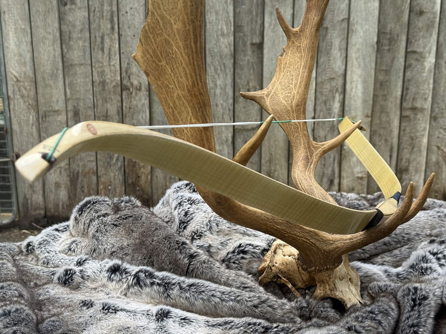 Vav laminated Turkish puta bow by OKCUBABA in beige