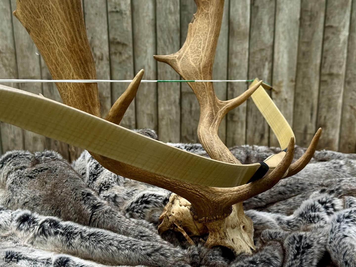 Vav laminated Turkish puta bow by OKCUBABA in beige, view 2
