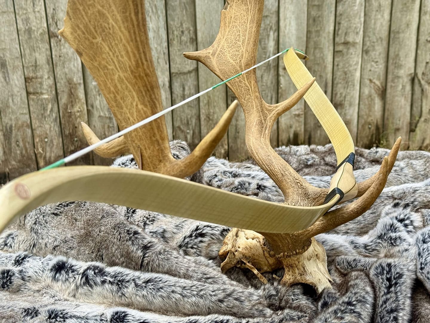 Vav laminated Turkish puta bow by OKCUBABA in beige, view 3
