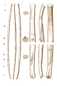 Historic Archery: Hedeby Bow Diagram