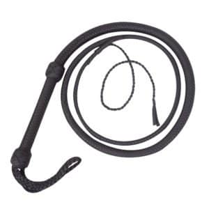 Nylon Whip