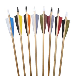 Traditional Birch Wood Arrows (x12)