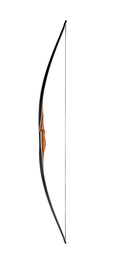 Raven Longbow limbs showing the clean lines and gentle curve of the traditional American flatbow style.