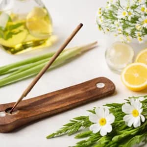 Bright and fresh incense: a stick on a wooden holder beside lemon, lemongrass and white daisies.